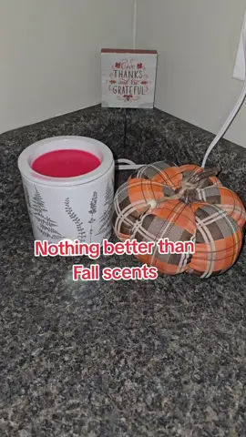 Grab all your favorite Fall scents in the squeezable soy wax pouches! #squeezablewax  #waxmelts  #soywaxmelts  #fallscents #fall 