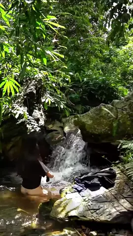 #bushcraft #garden #singlemomlife #Vlog #foryou #survival 