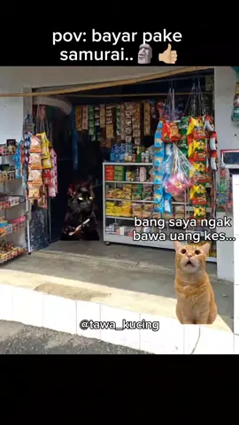 kaisar Jamal 😹#memekucing #kucinglucu #fypシ゚viral 
