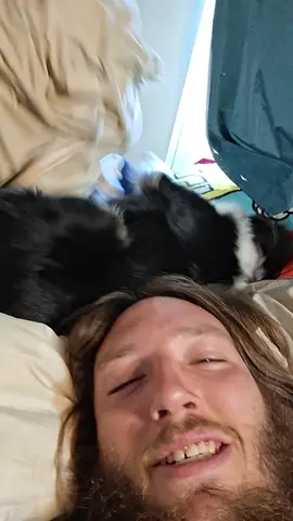 My Dog Was Going Crazy Looking For Her Toy 🤣 #comedy #dog #viral #officialsambrown95 #emo 