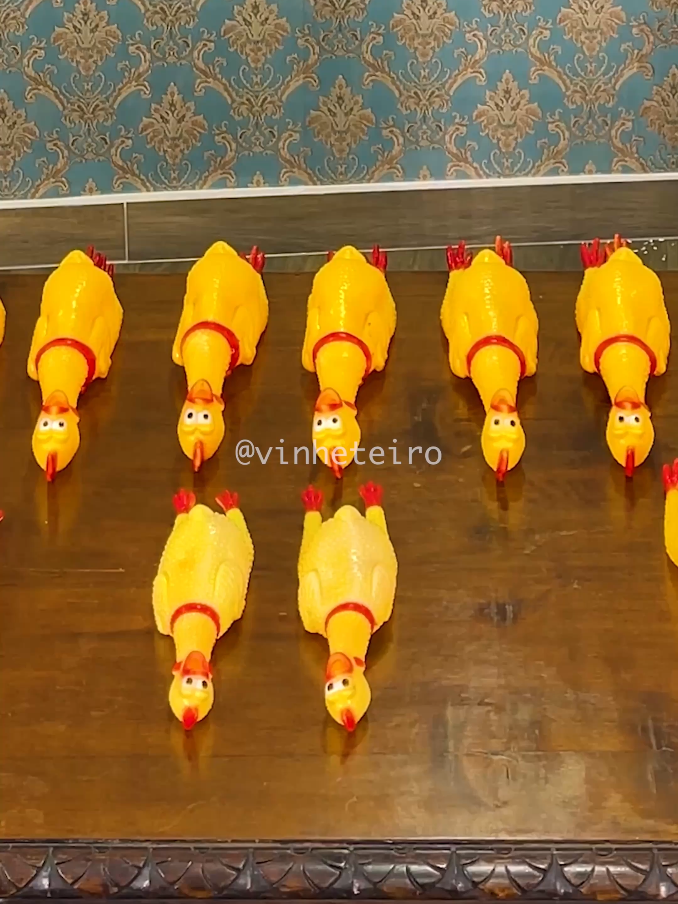 Darth Vader Plays the Imperial March with Rubber Chickens #vinheteiro #darthvader #lordvinheteiro #imperialmarch