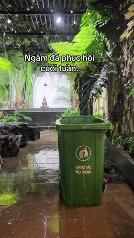 Chill dưới trời mưa.#tiktok #truongdinhhoang #boxing 