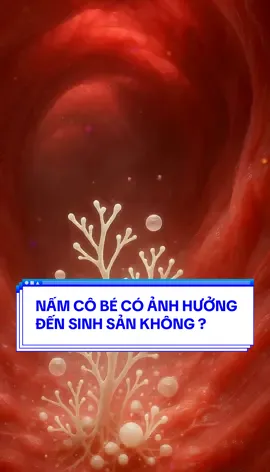 Nhiễm nấm cobe có gây VÔ SINH không?? 🆘🆘 #lavendavietnam #mongcon #mongconhiemmuon #cothaitunhien #xuhuong #suckhoe #sinhsan #viral #foryou #kinhnguyet #hoidapsuckhoe #namcandida #viemnhiem #meohay #meovat #meovatcuocsong #meosuckhoe #niemmactucungmong #niemmactucung #kienthucphukhoa #phukhoa #viemphukhoa #viemnhiemphukhoa #bacsiphukhoa #LearnOnTikTok #kienthucthuvi 