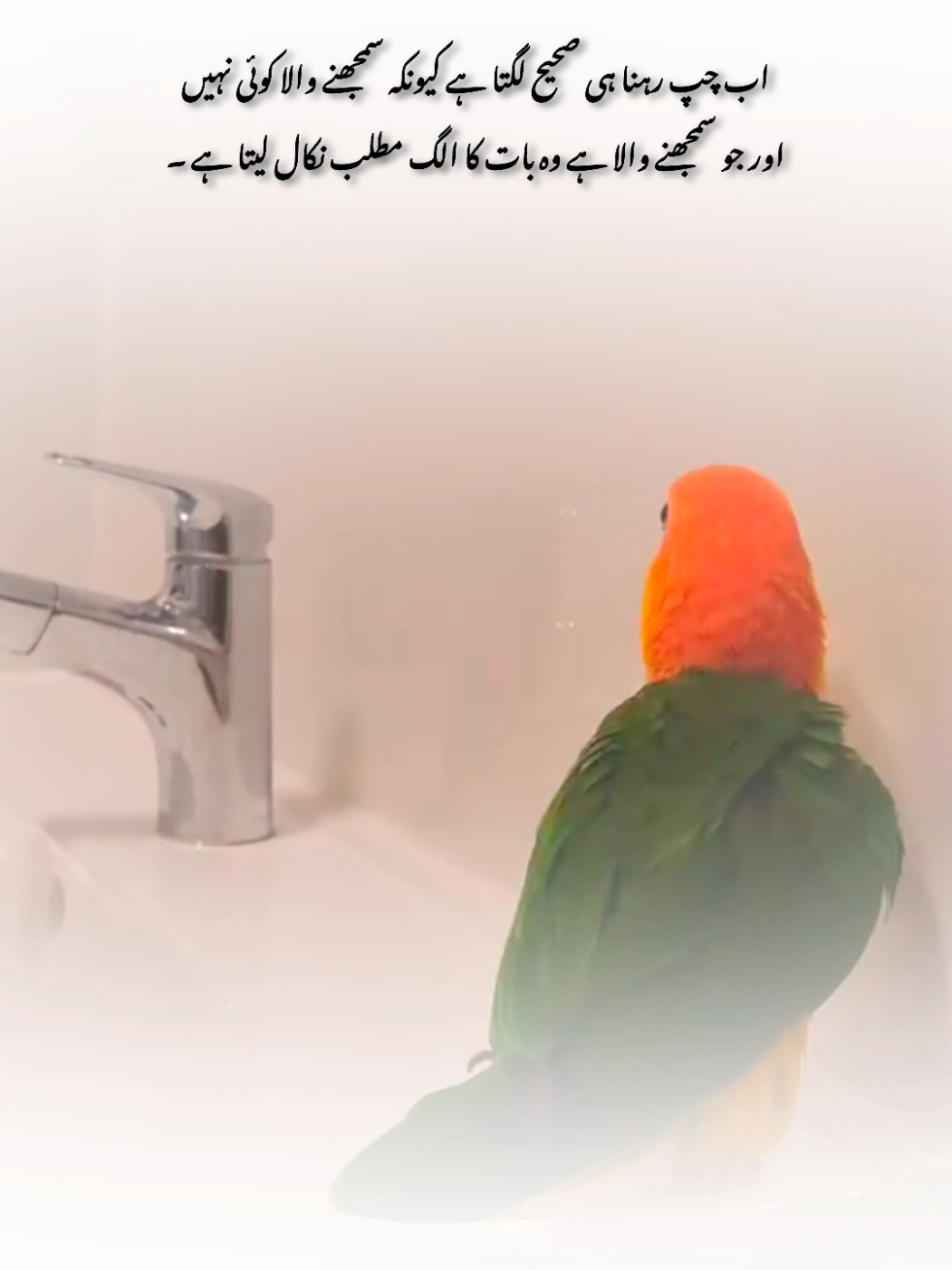 ❤️‍🩹🥹#foryou #flypシ #1millionaudition #poetry #myousaf 