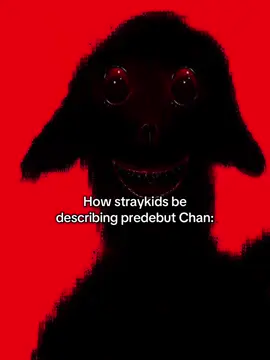 They describing him like he was a demon💔✌️😭😭 I’d be scared tho #straykids #chan #fyp #viral #xyzbca 