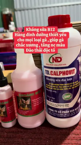Khoáng sữa B12 giúp gà phát triển khung xương 