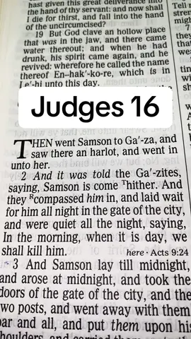 #TheLordJesusChrist #Messiah #GospelKJV #ScriptureReadingFYP #TheSonOfDavid 