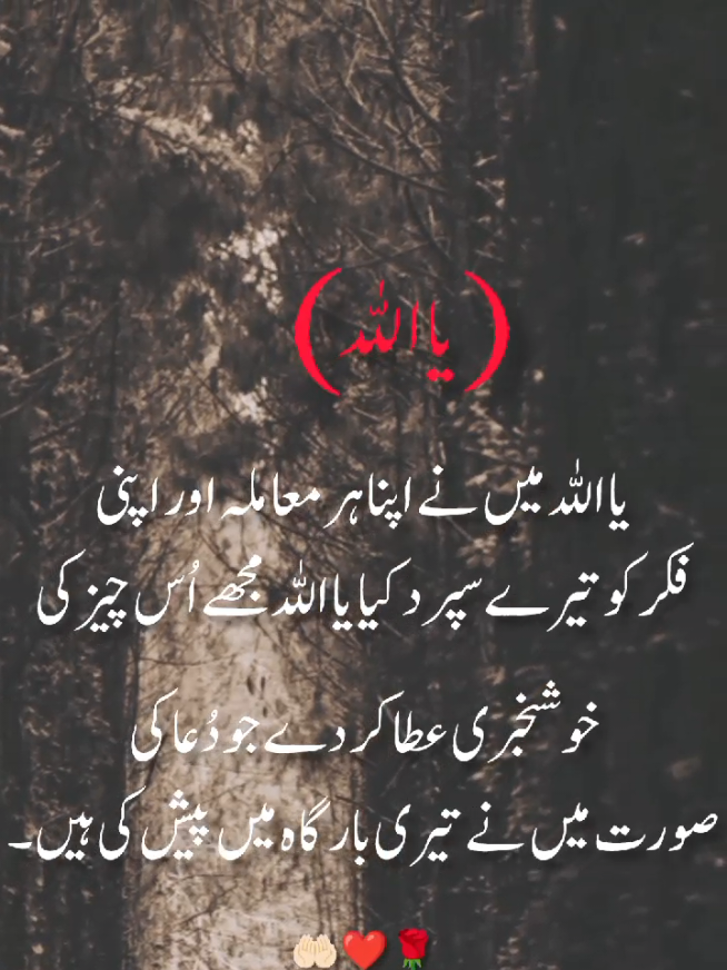 #pleaseunfrezzemyaccount #islamic_video #fouryou #onemillionviews🙏❤️ #یا اللہ میں نے اپنا ہر معاملہ اور اپنی فکر کو تیرے سپرد کیا یا اللہ مجھے اُس چیز کی خوشخبری عطا کر دے جو دُعا کی صورت میں نے تیری بارگاہ میں پیش کی ہیں۔ آمین