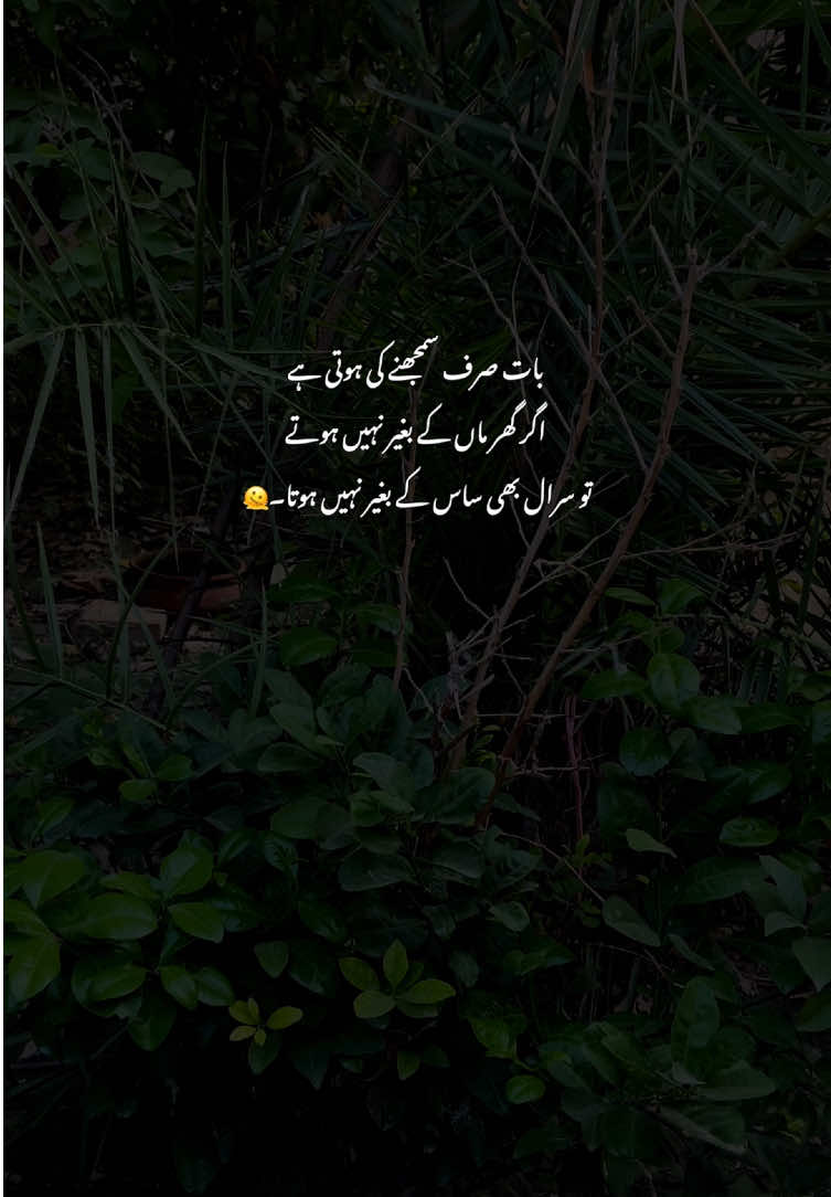 🥹💯#fyp #grow #poetry #viralvideos #aestheticvideos 