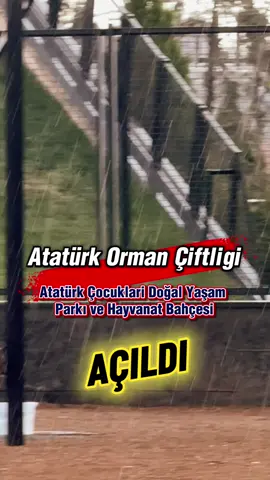✅ Bugün Açıldı, Aşırı Yağmurdan Dolayı Biz Tam gezemedik Çok Güzel Bir yer olmuş @yavasmansur 👏👏 📍 Atatürk Orman Çiftliği – Atatürk Çocukları Doğal Yaşam Parkı ve Hayvanat Bahçesi Burası, Ankara’da 940 bin metrekarelik geniş bir alana yayılan çok kapsamlı bir doğal yaşam ve hayvanat bahçesi projesidir.