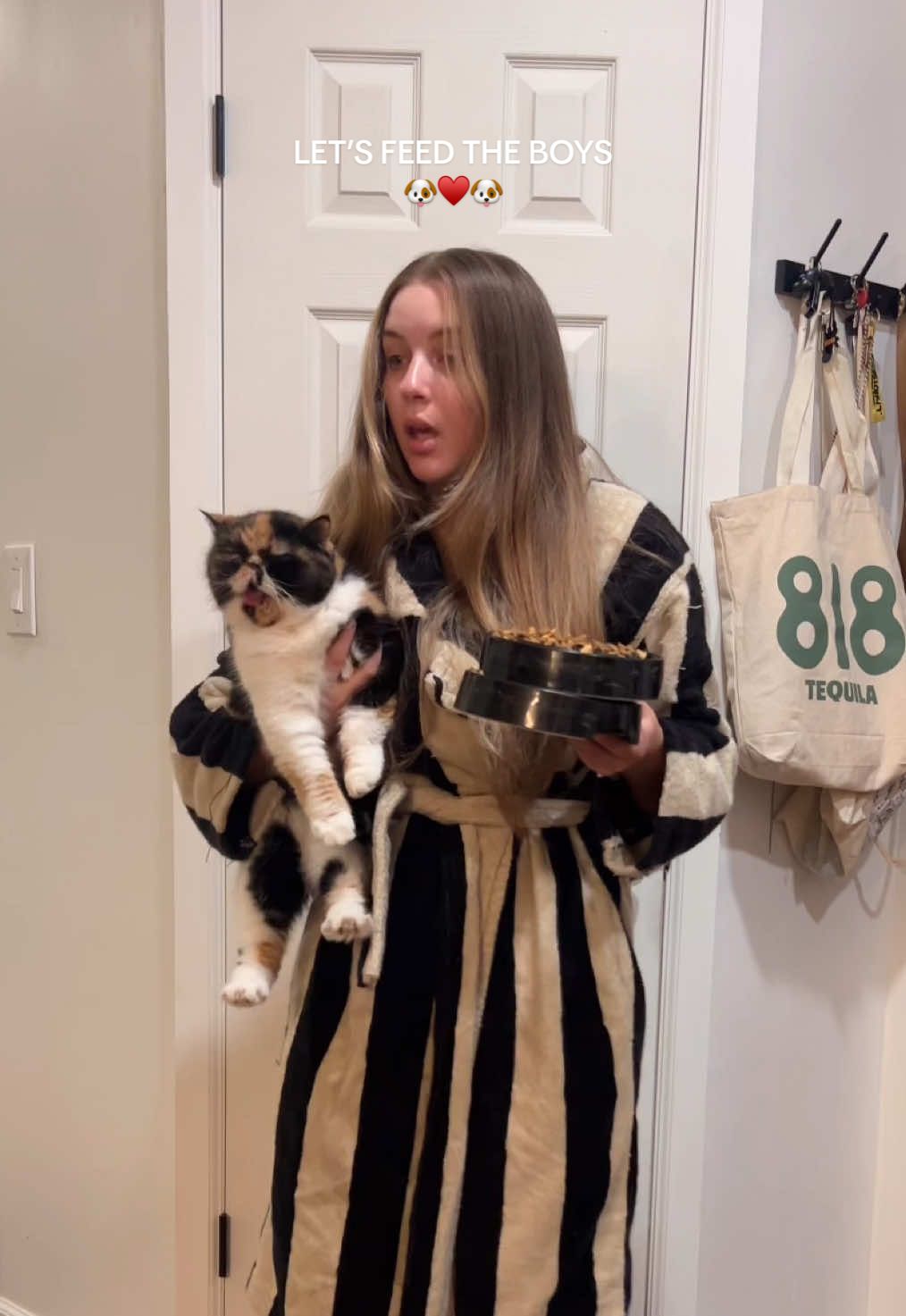 always pay the kitty tax 🐈‍⬛ #morningvlog #fallroutine #dogfeeding #rescuedog #bassethound 