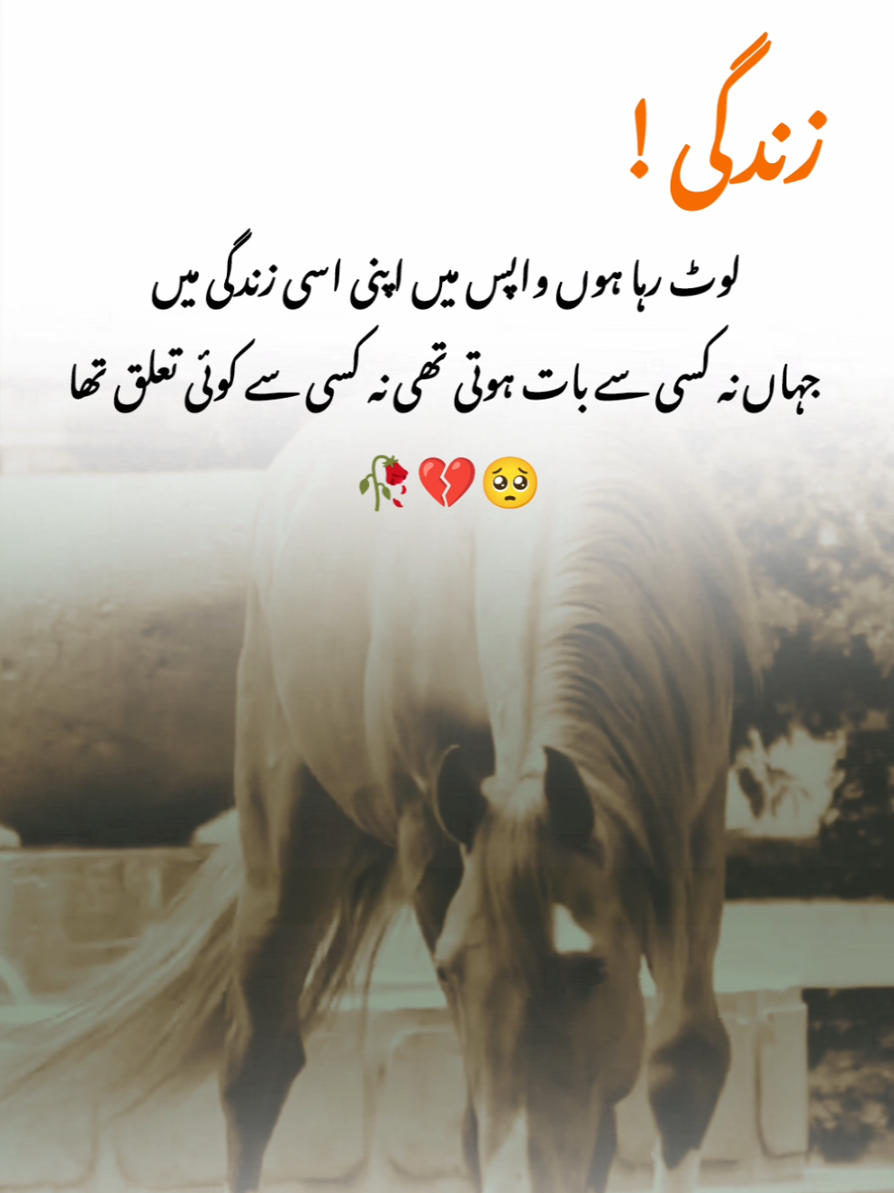 it's true 🥀💔🥺  #fypシ゚ #fypviralシ #urdupoetry #onemillionaudition 