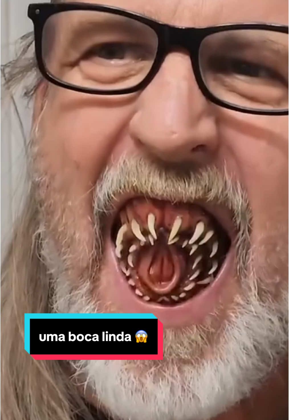 A BOCA DE UMA LAMPREIA 🫠 sjc:ok  #lampreia #peixe #biologia #ciência #animal