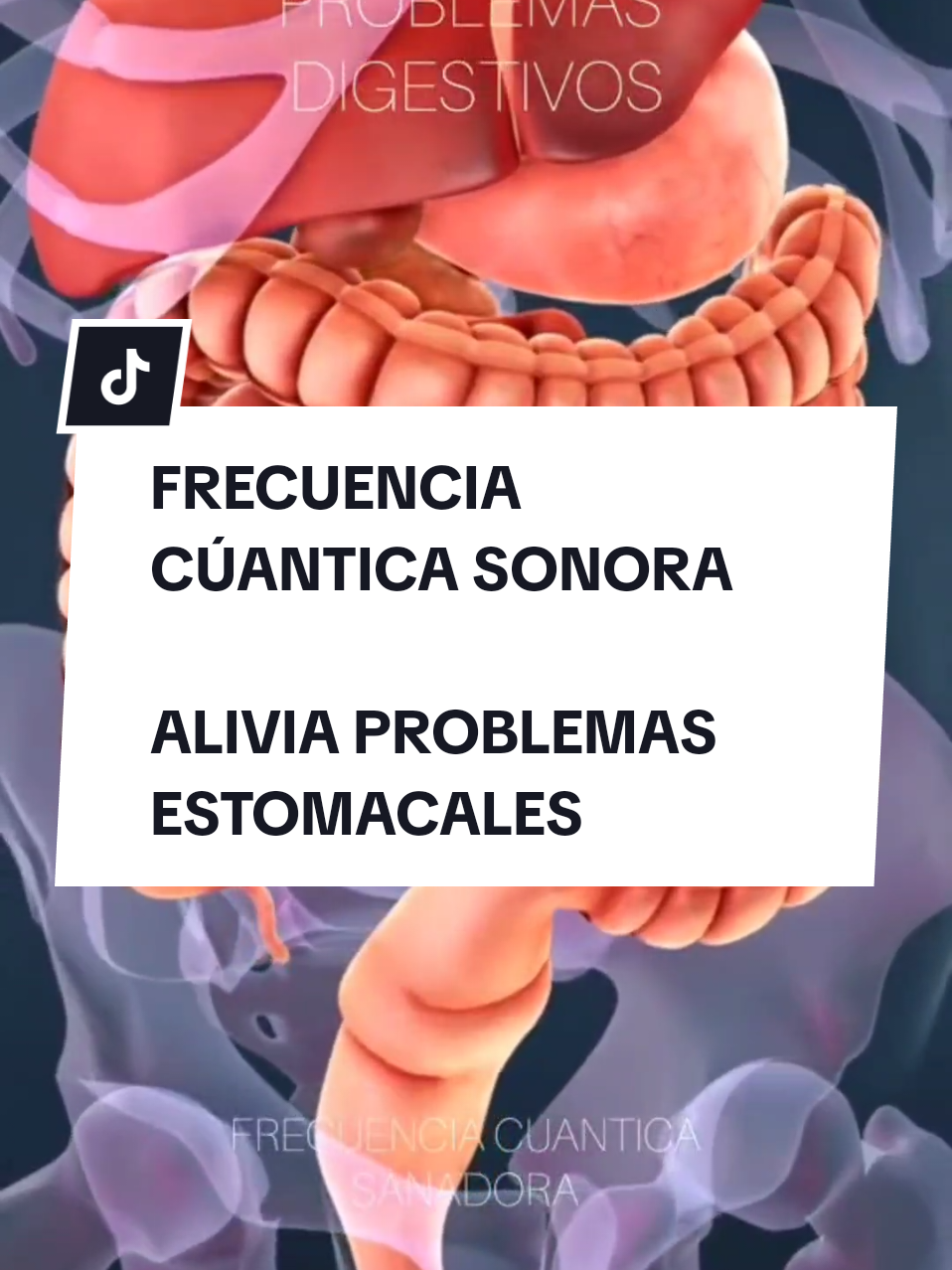 Problemas digestivos? esta frecuencia es para ti. Quantum Healing Frecuencies by Tania Samayana son frecuencias realmente poderosas que no encontrarás en ningún otro lugar. Entra a ver las valoraciones de cada frecuencia en el enlace de mi perfil para que conozcas lo efectivas que son. Para cada enfermedad existe una frecuencia que la cura. Dónde sentiste la vibración? Comparte a quien lo requiera 💕 #problemasdigestivos #gastritis #dolorestomacal #stomach #stomachproblems 