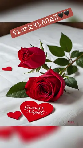 #የኔ ውድ የኔ ልበልሽ#ፍቅር➻ብቻ🖇ፍቅር➻ብቻ❤🥀🔐 