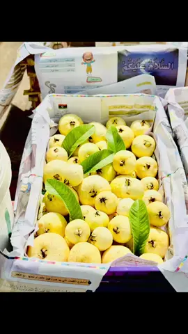 #صلي علي النبي 🤍🤍.  مزارع المحلاوي ًًً ملوك الدهب لبيض🤍🤍
