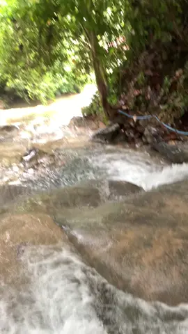 #airterjun #matabuntuwasupondaluwutimur #towuti#luwutimur #fyppppppppppppppppppppppp 
