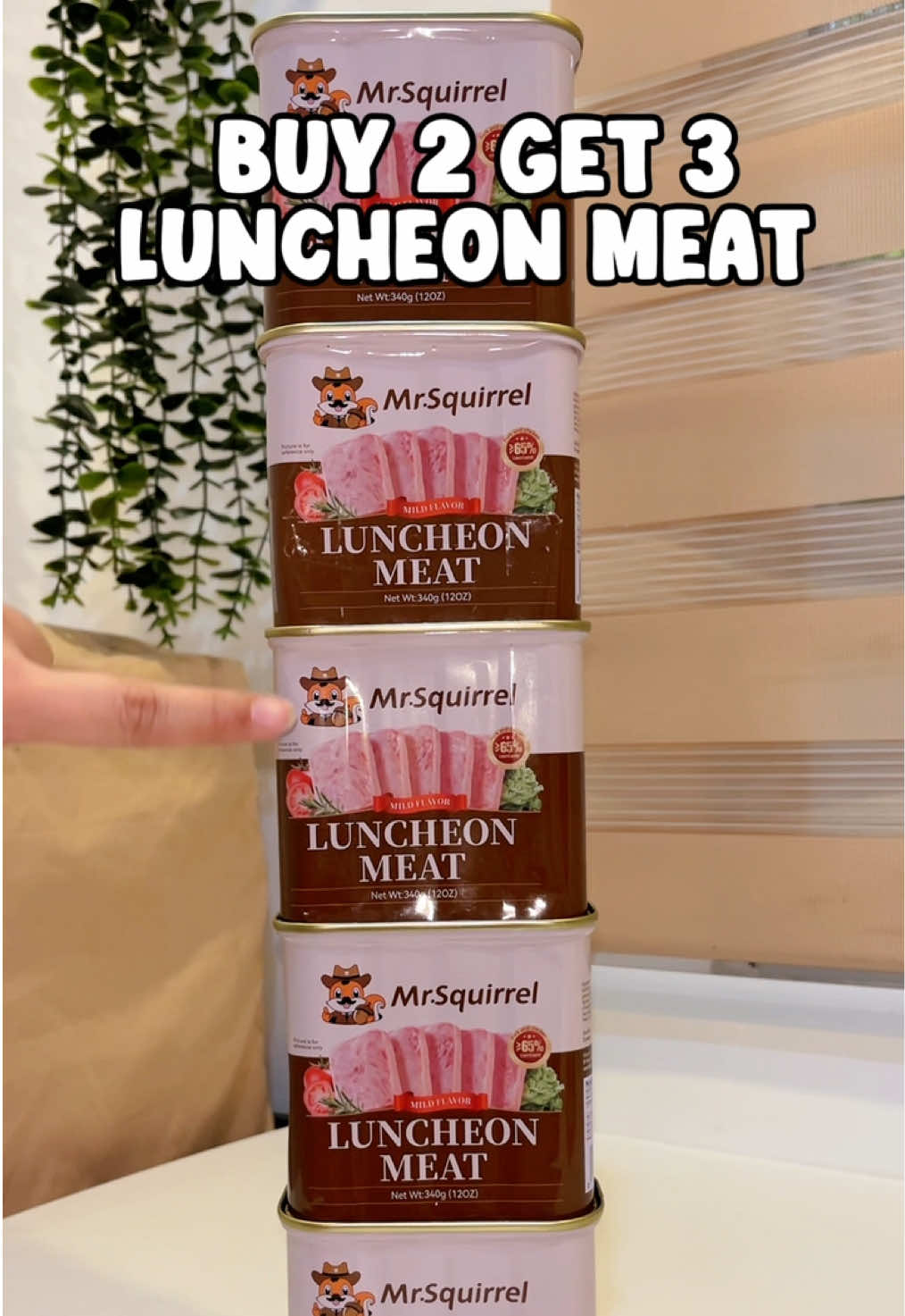 buy 2 get 3 mr. squirrel luncheon meat! masarap at di maalat tapos napa ka affordable pa🤌 #mrsquirrel #luncheonmeat 