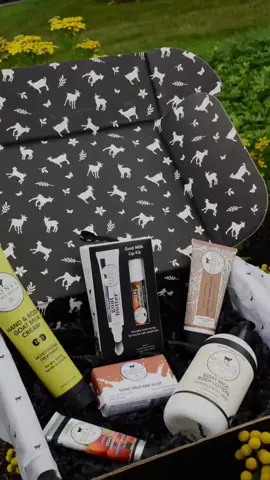 Our Fall Beauty Box is HERE and packed with creamy, skin-loving essentials and all the cozy vibes! 🍂 #JoinTheHerd #CleanBeauty #DionisSkinCare #GoatMilkSkincare
