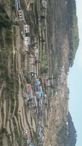 दोरम्बा ।