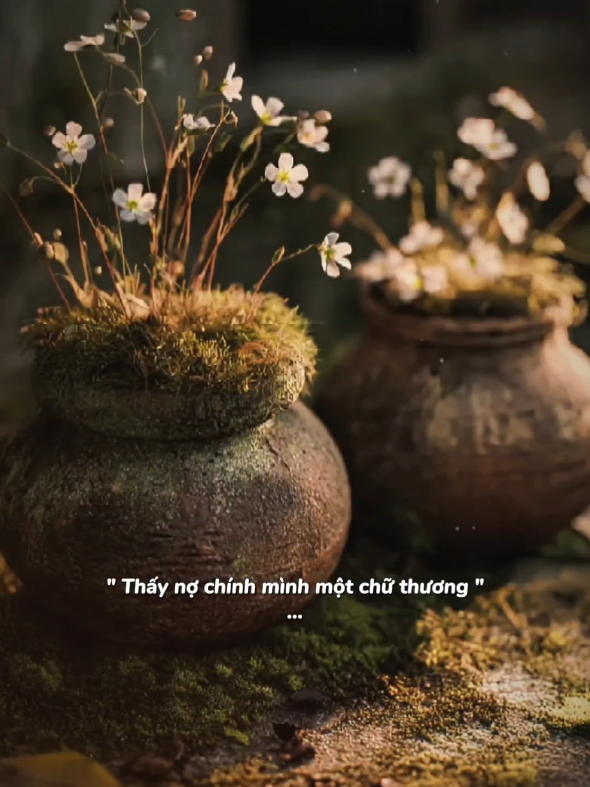 Nửa đời mái tóc chớp pha sương... #nhachaymoingay #podcast 