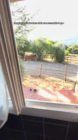Qui ne rêverait pas de cette vue ? ✨ #cheval #maison #vue #pourtoi #fyp 