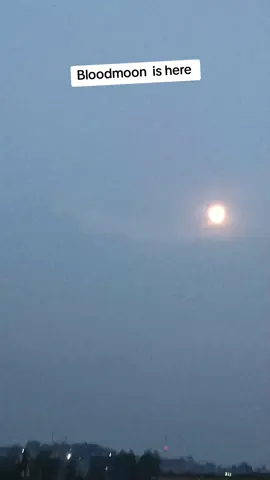 Red moon #ritual #manifestation #lugandatiktok #money #receive 