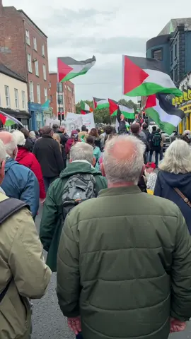 A huge crowd marching in Limerick City today showing support and solidarity with Palestine 🇵🇸 🇮🇪 700 days of this genocide, death and famine 😞 #freepalestine #limerick #palestine 