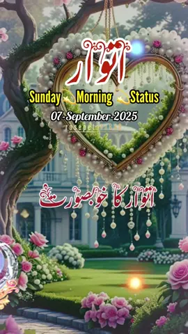 Good Morning Subah Bakhair,صباح الخیر,Status,Dua🤲❤️🤲❤️🤲🥀🌺🌼.              #goodmorning#foryoupagе#fyp#standwithkashmire#صباح_الخير 