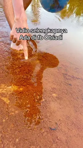 Pemburu emas | vidio mencari emas murni | mendulang emas $100,000 per day | La mina de oro más rica Mina de oro súper rica#treasure #gold #mininggold #Huntingforgoldtreasure #goldrefaning                         