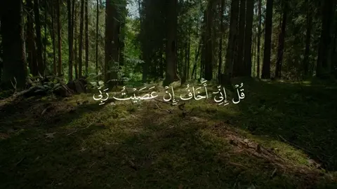 الأنعام - #محمد_ايوب #قرآن_کریم #قرآن #quran_alkarim #quran 