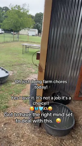#farmchores #myeverything❤️myworld❤️ #peace #myhappiness #boss 