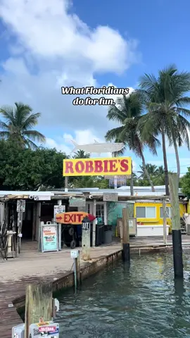 The amount of times I’ve been to Robbie’s is insane but i will never not feed the tarpon #robbies #keys #thingstodo #feedtarpon #fyp 