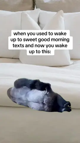 #Meme #MemeCut 