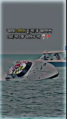 ধন্যবাদ 🚩🍷#sigma #foryoupage #foryou #fyp #tiktok 