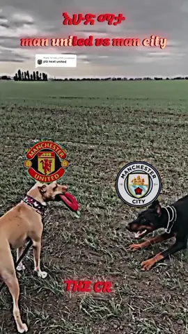 Replying to @roba_jr94 like eyaregachu #manunitedvsmancity 
