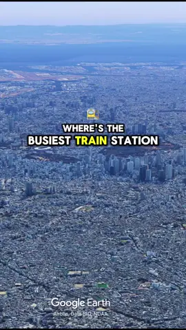 The Station That Moves 10x More People Than the UK’s Busiest 🚉 #shinjuku #tokyo #japanfacts #vsuk #fyp