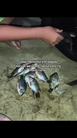 #fyp #dumoga #kotamobagu #manado #katakatadumoga 