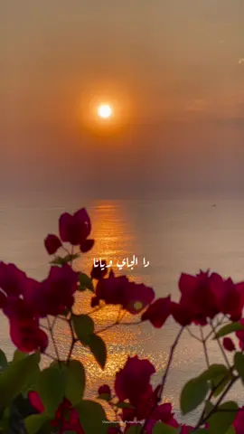 ⁨	دا الجاي ويانا😍 و الحب معانا  الله على هوانا و اشهد يا بحر  عنيك بعنيا د ملاك بإديا  بصيت حوليا و ضحكلي البحر  يا روح البحر .. _ ‪‪‪@fadelchaker‪@jumanajamal.official‬al‬cial‬al‬al‬al  #fypシ #روح_البحر #اكسبلور_explore #fypage #فضل_شاكر ⁩⁩⁩⁩