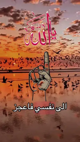 اللهم امين يارب العالمين 🤲💕 #دعاء #دعاء_يريح_القلوب #islamic_video #fppppppppppppppppppp #foryou 