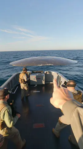 US Navy Stunned as Massive UFO Emerges from Ocean #UFOs #ufo #UAP #uaps #ovni 