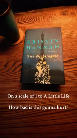 #BookTok #historicalfiction #kristinhannah #thenightingale 