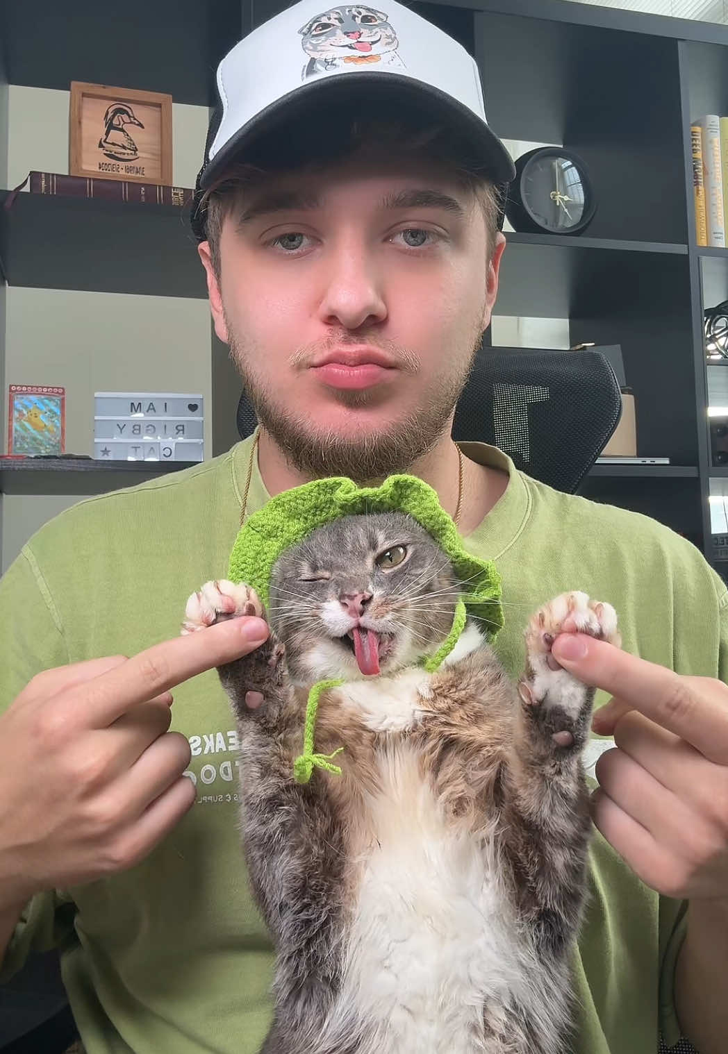 Should Rigbycat do more dances? merch in bio 🤝 #fyp #catcontent #sillycat #catsoftiktok #rigbycat 