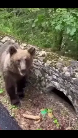 #рекомендации 