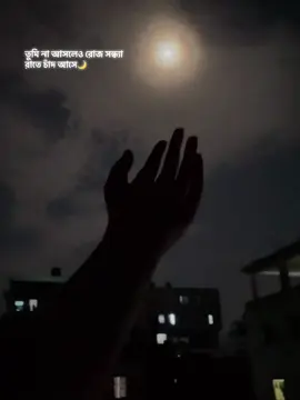 🌙✨ #trandingsongtiktok🔥🔥support🌺 #foryoupage #viral #memes #highlight 
