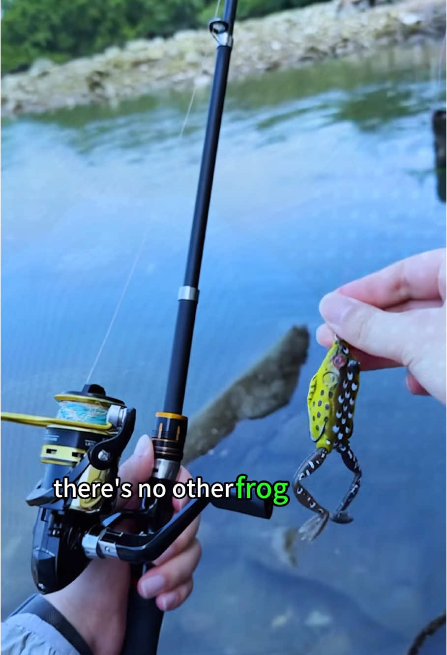 The bass won’t be able to resist #topwater #fishing #bass 