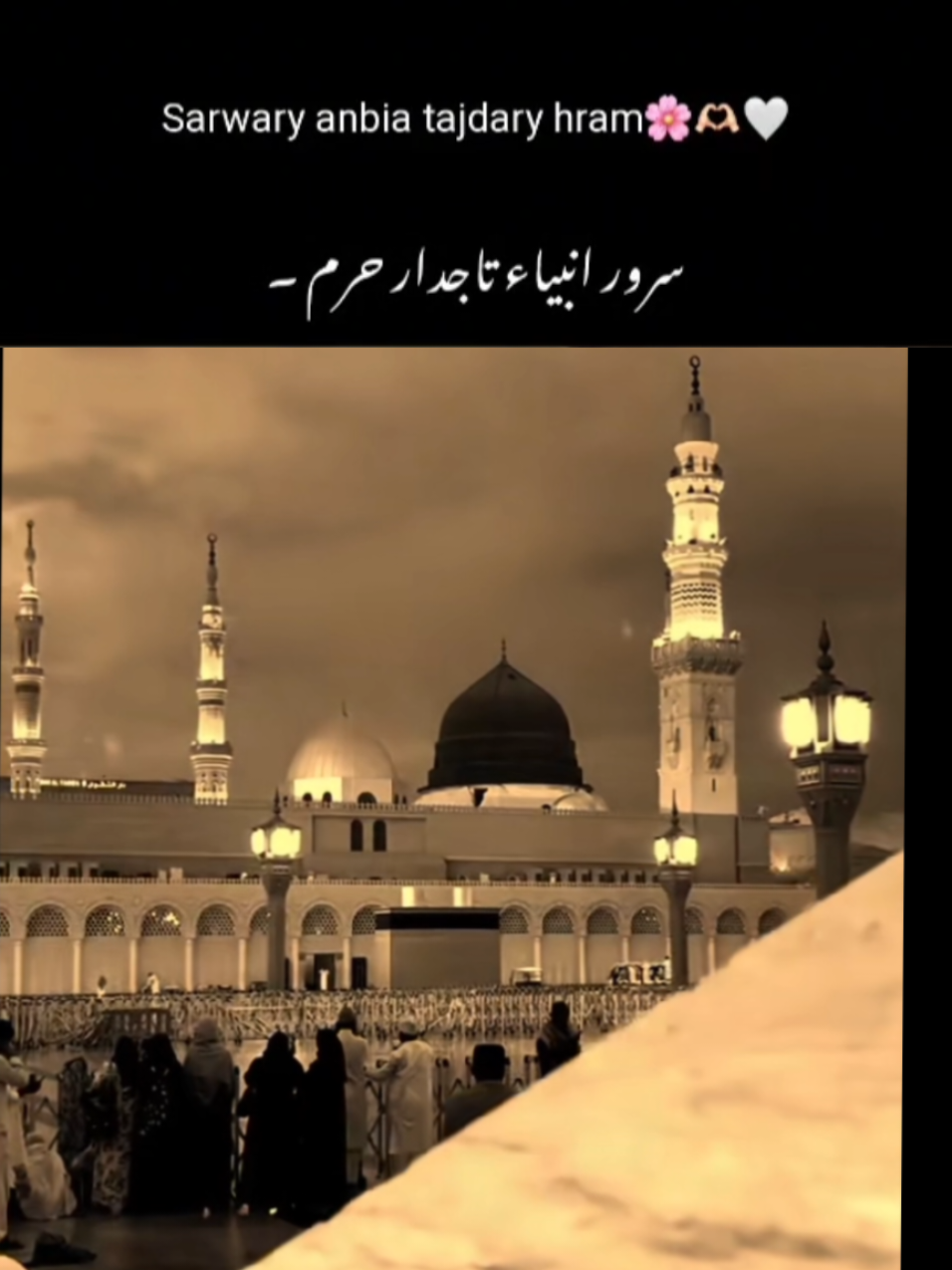 🎀💞🌼سرور انبیاء تاجدار حرم🎀💞  . . . . #naatsharif #naat #tajdareharam #islamic_video #islamic 