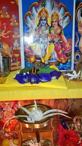 जय होस  गुरूदेव 🔱😇🌻🙏 राधे राधे🕉🔱😇🌻🙏 🕉नमःशिवाय _हरहरमाहादेव 🔱😇🌻🙏 🕉 सोम सोमाय  नमः🌗🌗🌙🌙🌚🔱😇🌻🙏 #radheradhe🔱⚜️❣️ #foryoupage #blessinggod🕉🔱🌺 #omnamahshivaya📿🙏🔱🕉 #herhermahadev🙏🔱🙏🕉️🕉️📿 