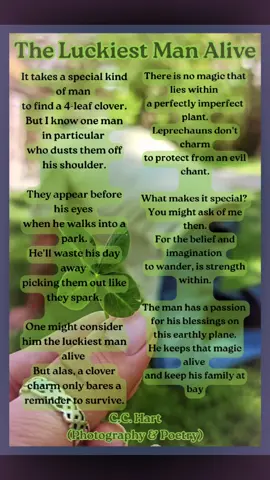 Poetry Time Pt. 14 #fyp #original #poetry #writer 