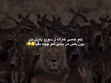 Kem tedgahn 😂😂🙂#foryou #fypシ #actives #tiktok @#foryou 